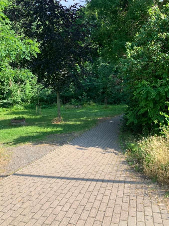 Parkhotel Schnorr Lutherstadt Eisleben Eksteriør bilde